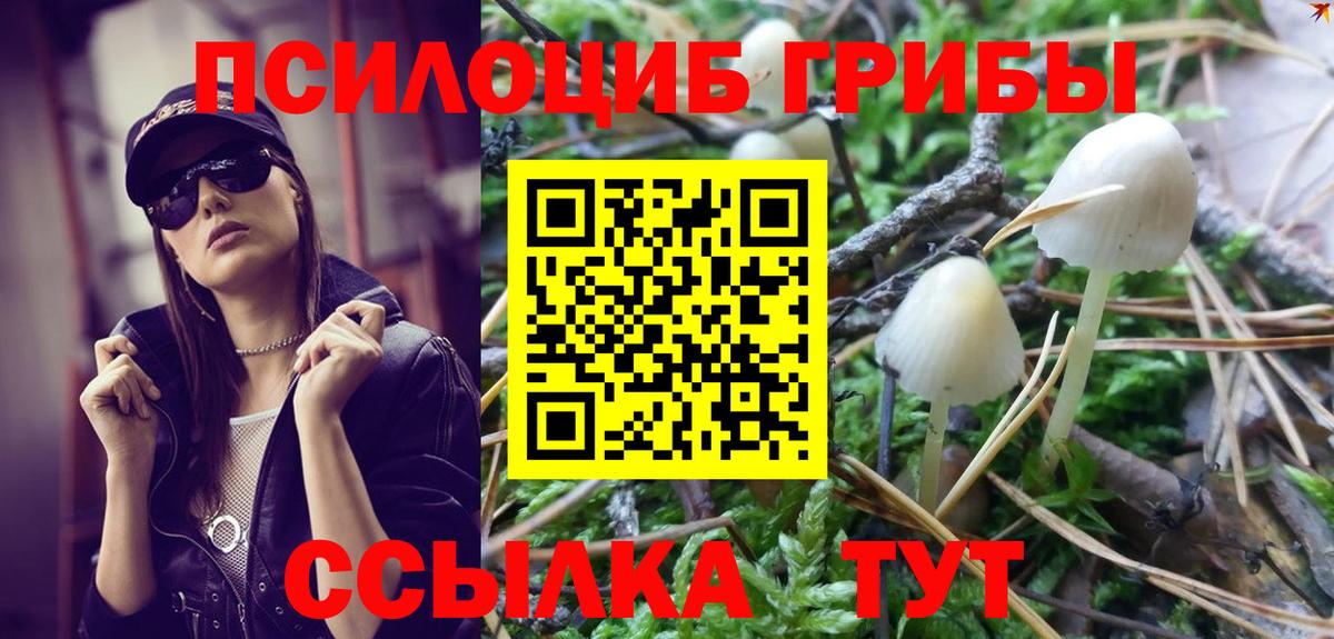 Псилоцибиновые грибы MAGIC MUSHROOMS  Вход с VPN  Галлюциногенные грибы прущие грибы  Домодедово 